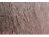 Каменный шпон ECO VENEER Golden