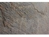 Каменный шпон ECO VENEER Golden Green